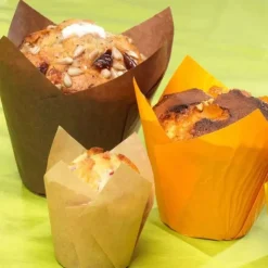 Sale Cerf Dellier Caissette Haute Tulipcup Brune (X300)