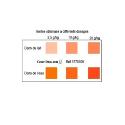 Clearance Cerf Dellier Colorant Poudre Alimentaire Orange Or 100 G