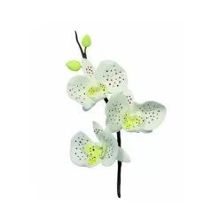 Sale Cerf Dellier Emporte-Pièces Inox Petales Orchidee Pme (X 3)