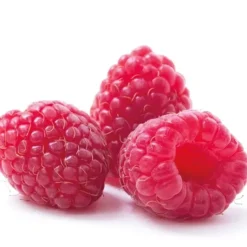 Sale Cerf Dellier Extrait De Framboise 20% Patisdecor 50 Ml