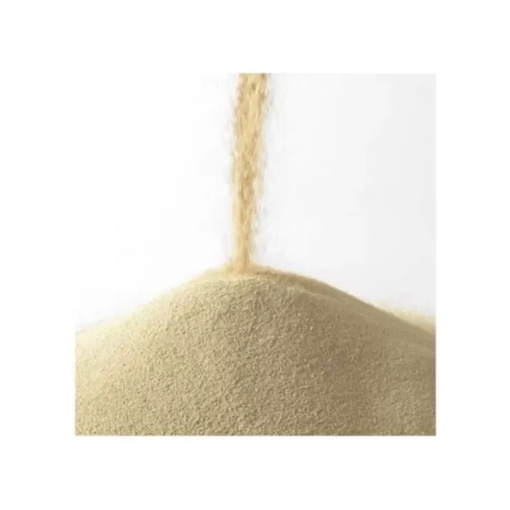 Online Cerf Dellier Levure Seche Instantanee Saf-Instant 500 G