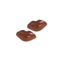 Cerf Dellier Moule Chocolats 20 Bouches