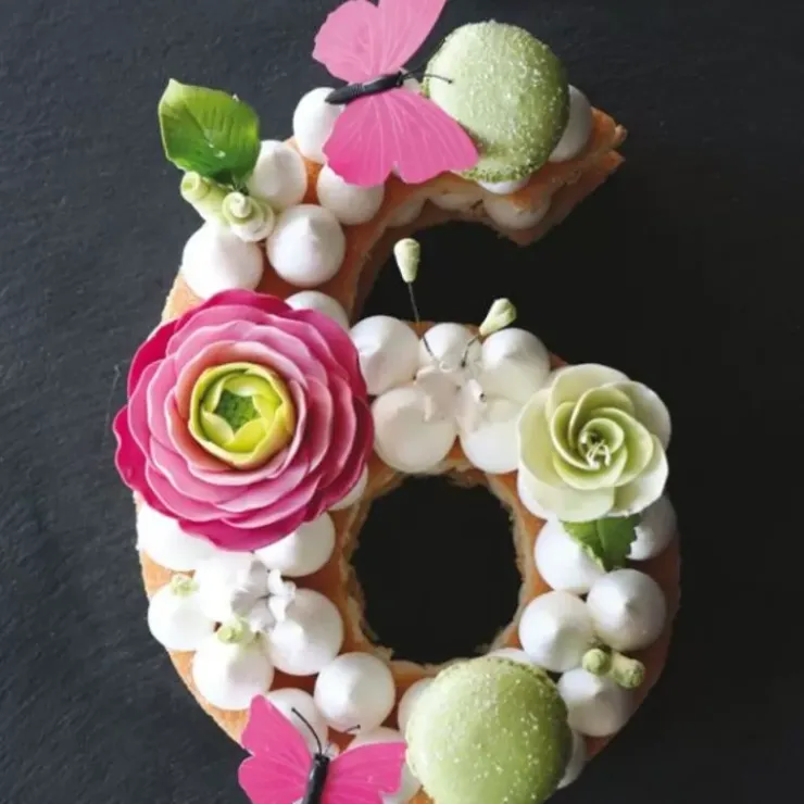 Sale Cerf Dellier Moule Number Cake Chiffre 6