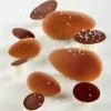 New Cerf Dellier Moule Silicone Mini Quenelles Pavoni