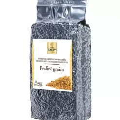 Cerf Dellier Praline Grains Noisette 1 Kg